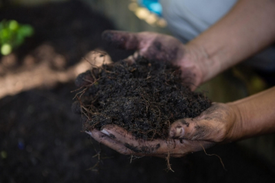 Как сделать чернозём: осенний активатор для компоста